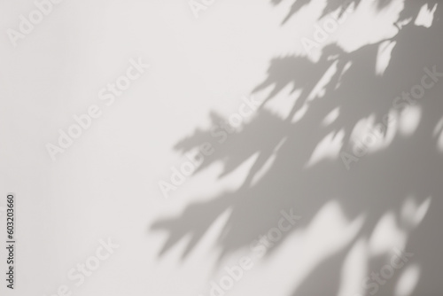 a shadow of a tree on a white wall. Created with Generative AI Technology