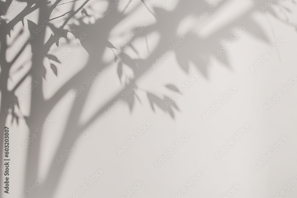 a shadow of a tree on a white wall. Created with Generative AI Technology a shadow of a tree on a white wall. Created with Generative AI Technology