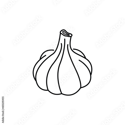garlic icon vector