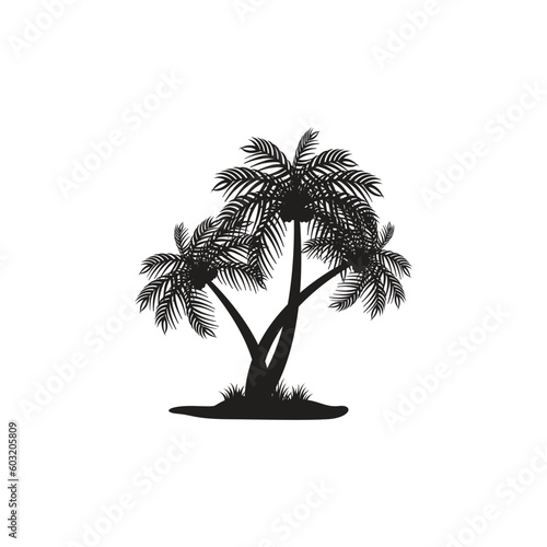 coconut tree vector