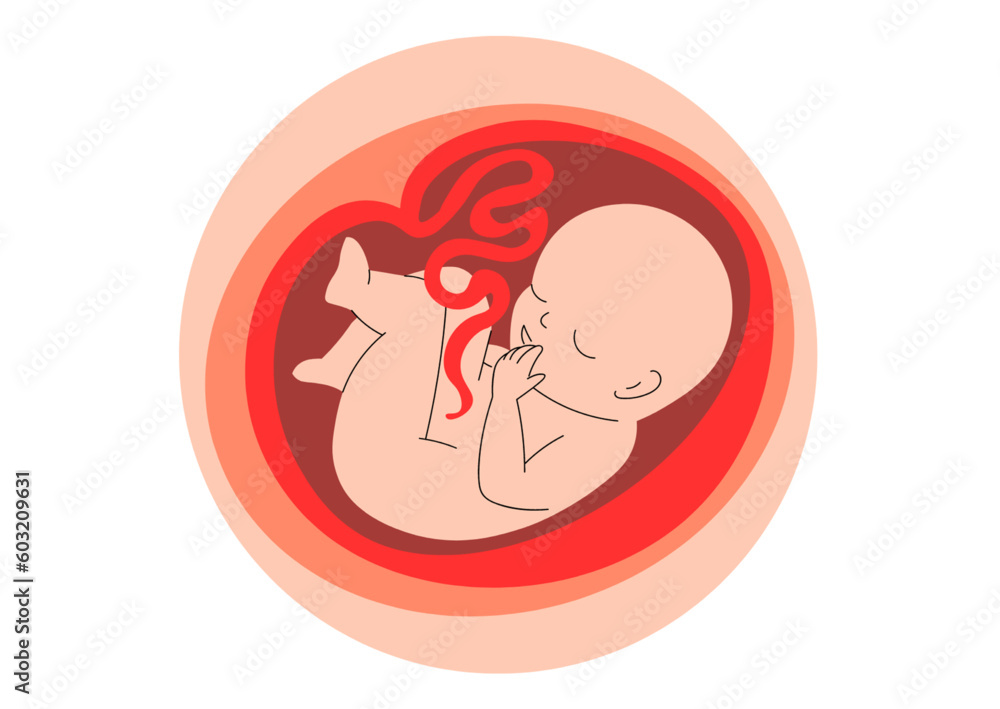 Human fetus in a test tube. 3D illustration. Human fetus in a test tube. 3D illustration.