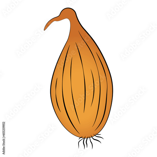 Εκτύπωση καμβά Ripe shallot onion on white background
