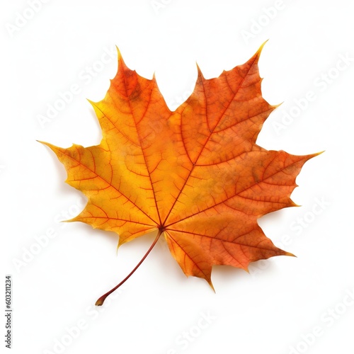 a maple leaf on white surface