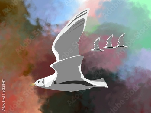 Bird flying, silhouette of the eagle