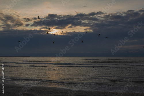 Sea  seashore  Waves over water  Landscape  nature