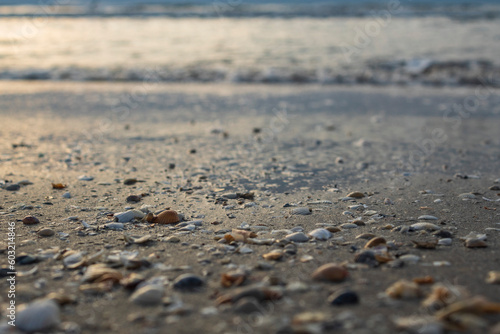 Wallpaper Mural Sea, seashore, Waves over water, Landscape, nature Torontodigital.ca
