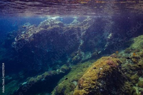 underwater video clips to see the beauty of the sea and the clarity of water in Chumphon Province, Thailand