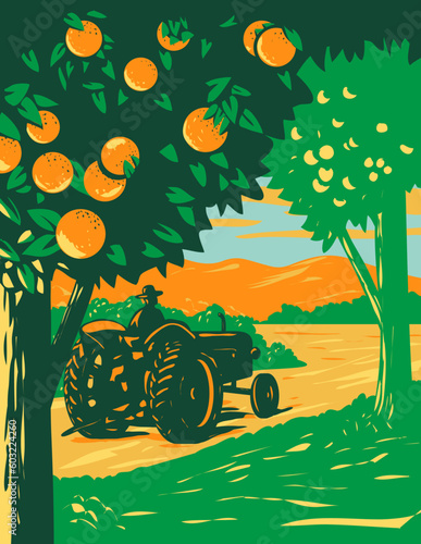WPA poster art of an orange grove in Central Florida with a farmer driving a vintage tractor and mountains in background done in works project administration or Art Deco style. photo