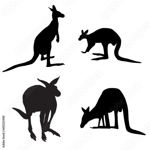silhouette of kangaroos