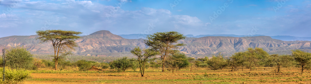 Savanna in the Awash National Park, Ethiopia