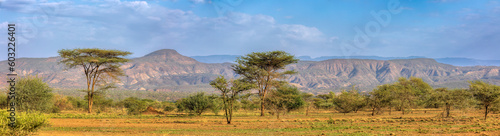 Savanna in the Awash National Park  Ethiopia