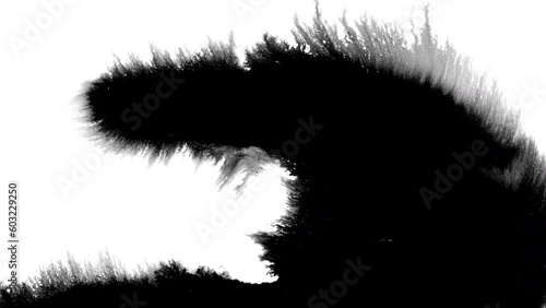 Wallpaper Mural Black ink spills onto white paper, forming beautiful streaks beautiful black watercolor ink drops transition Torontodigital.ca