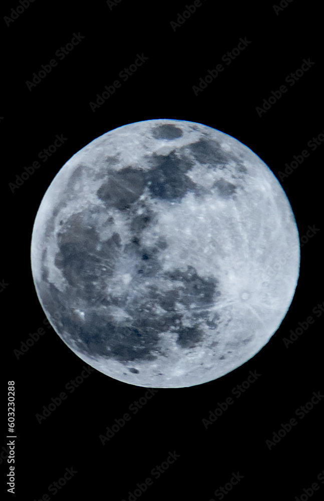 Fototapeta premium liuna llena