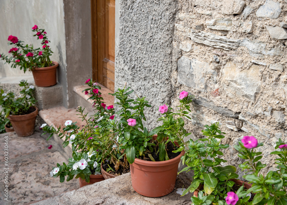 Flowers in pots on a stone wall in the old town Malcesine Garda Lake