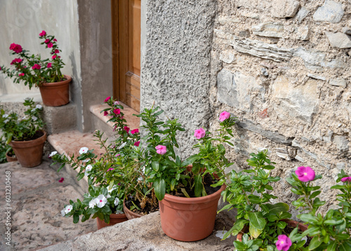 Flowers in pots on a stone wall in the old town Malcesine Garda Lake