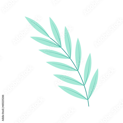 Green twig with leaves  curved to the left  isolated  close-up  on a transparent and white background. Icon  element for the design of postcards  congratulations  banners  backgrounds. Vector image.