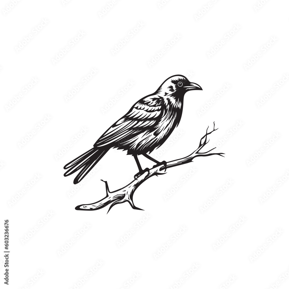 Naklejka premium crow on lamb twig . raven, crow, black, logo icon