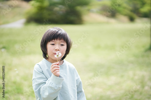 タンポポの綿毛を吹く女の子 photo