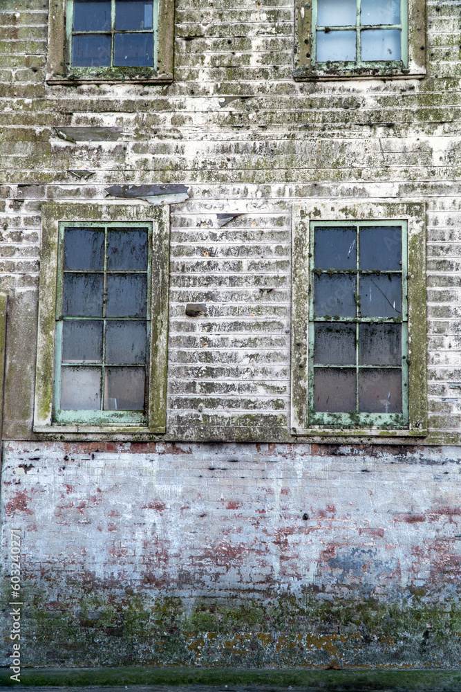 A weathered algae covered wall with windows. A weathered algae covered wall with windows.