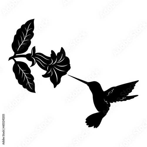 hummingbird with flowers vector