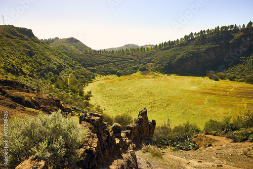 View of the Caldera of Los Marteles, in the island of Gran Canaria. photo