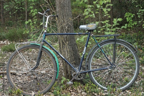 one very old classic iron retro bike made in the ussr stands near a tree in the forest on the ground in summer afternoon