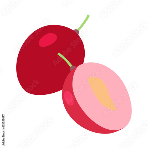 カリッサ。フラットなベクターイラスト。
Carissa fruit. Flat designed vector illustration.