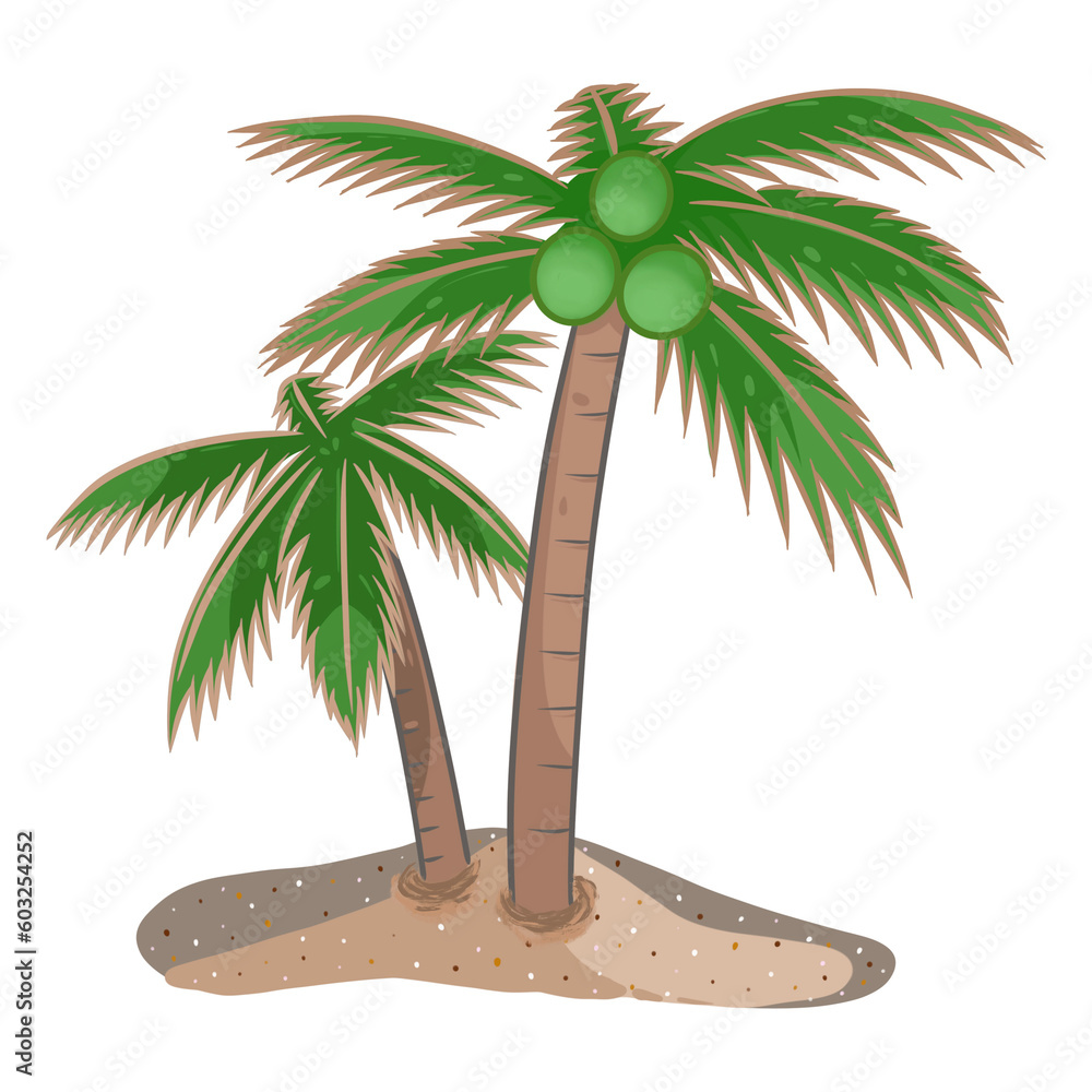 Fototapeta premium Coconut In Summer