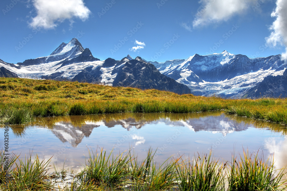 Bernese Alps from Grindelwald First, Switzerland