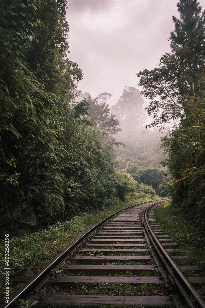 Fototapeta premium Train path, peaceful and mystical.