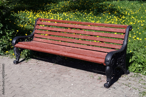 Empty brown wooden bench on black metal bases in the park against green lawn with dandelion flowers in bright sunny day