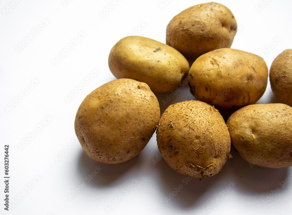 fresh potatoes just harvested on white background fresh potatoes just harvested on white background