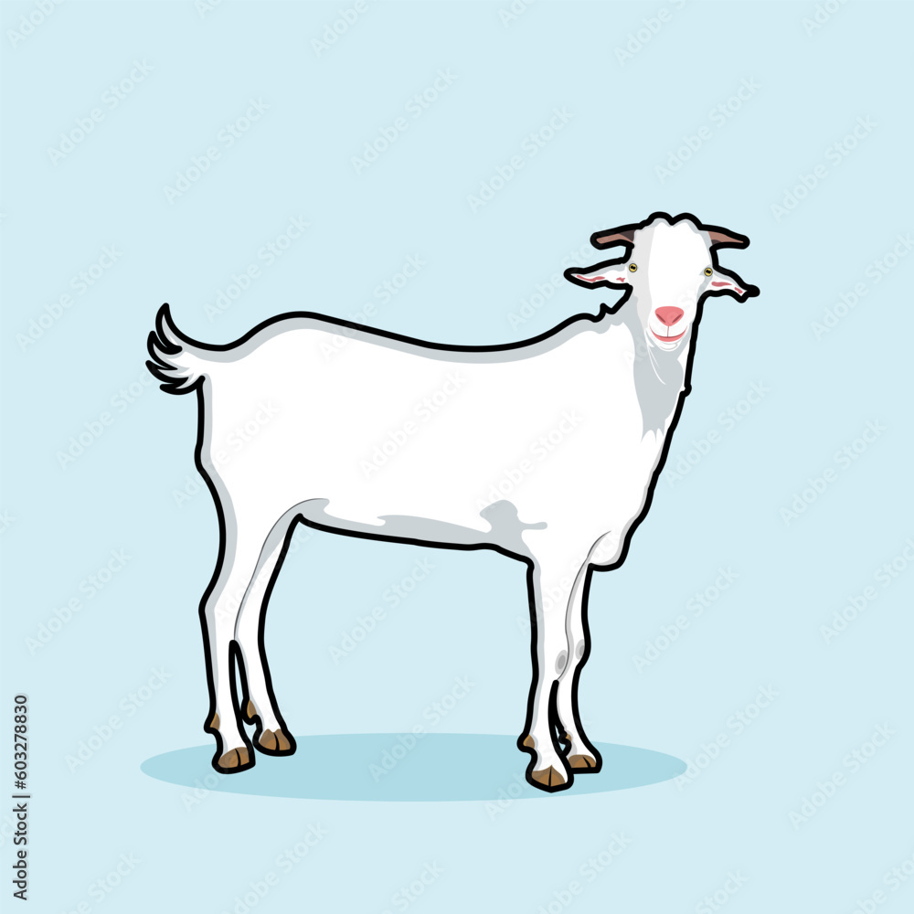 White Male Goat Or Buck Domestic Farm Animal Standing On Soft Blue Background, Vector illustration