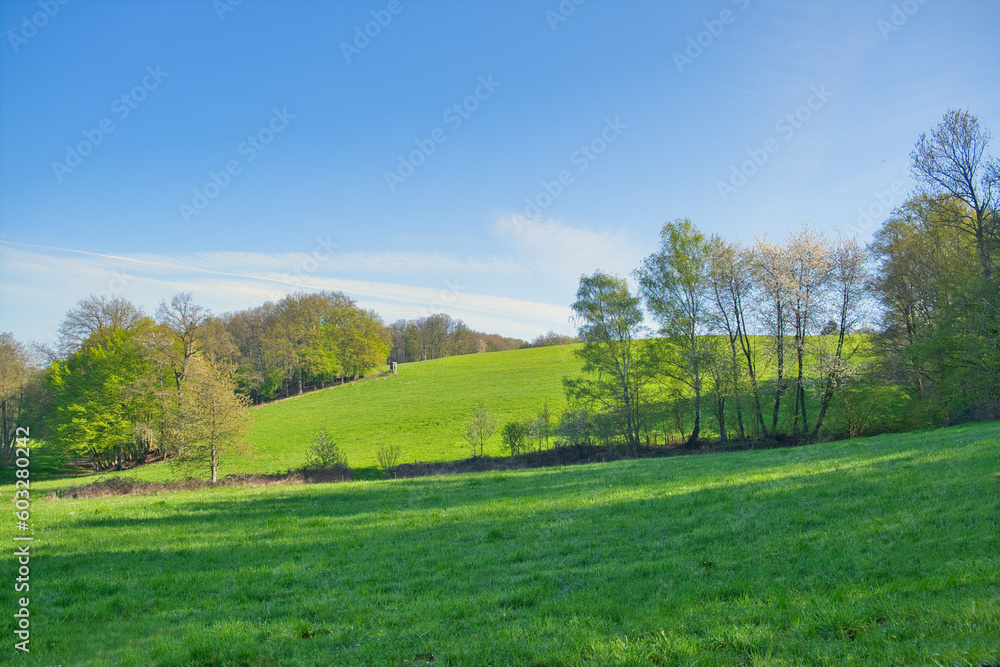 Green landscape in spring , blue sky.
nature, landscape photo