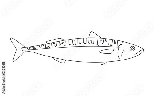Mackerel line art, scomber seafood and underwater animal. Water delicacy, gourmet. Fishing. Coloring for children. Vector illustration isolated