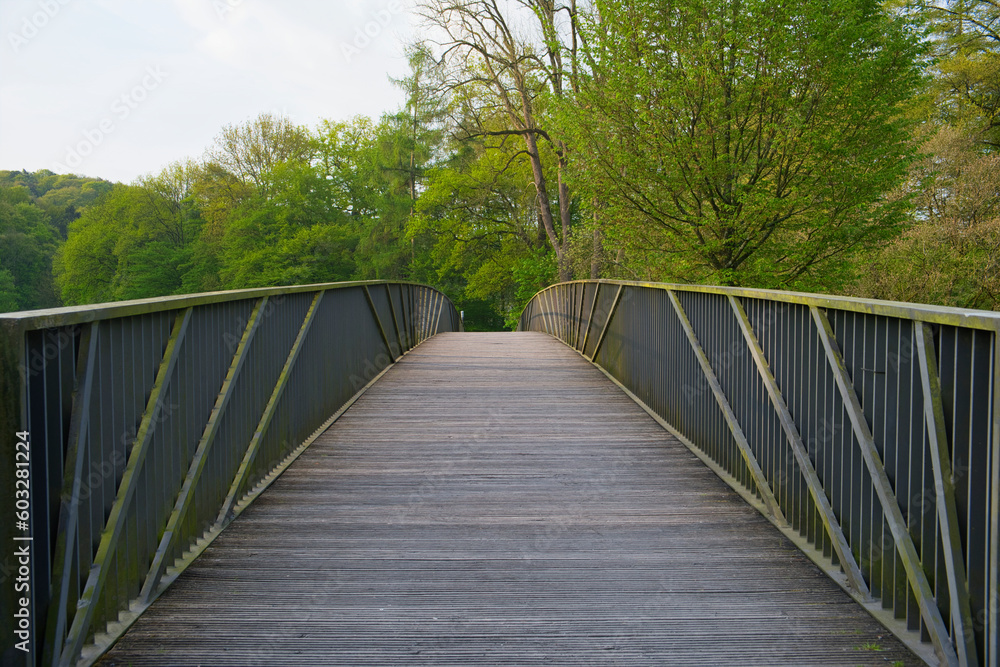 long narrow wooden bridge in the direction of the forest