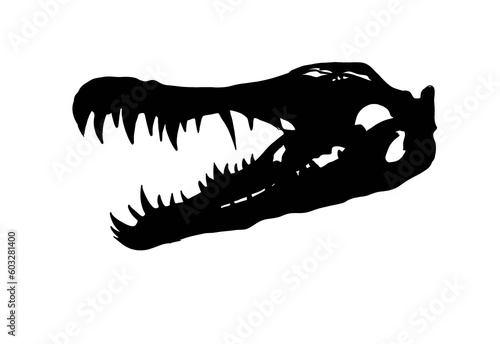 crocodile skull skeleton vector without background