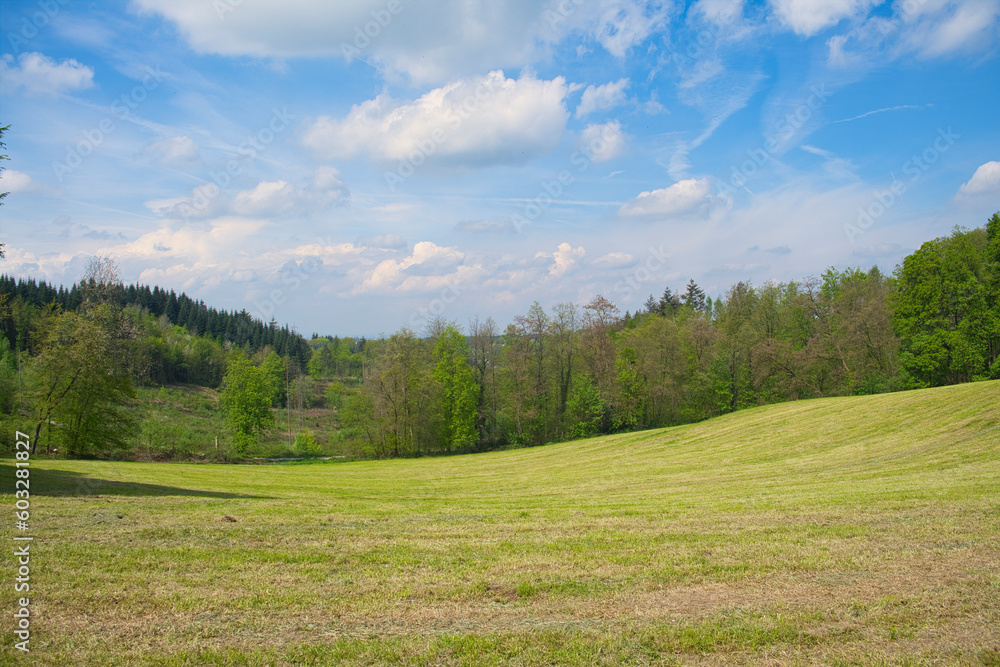 Green landscape in spring , blue sky.
nature, landscape photo