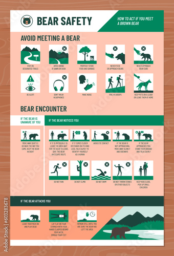 Bear safety infographic: how to act if you meet a bear