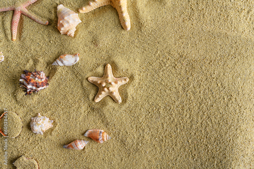 Seashells and stars in the sand. Summer still life. Seashells and stars in the sand. Summer still life.