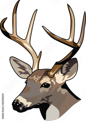 deer head vector
