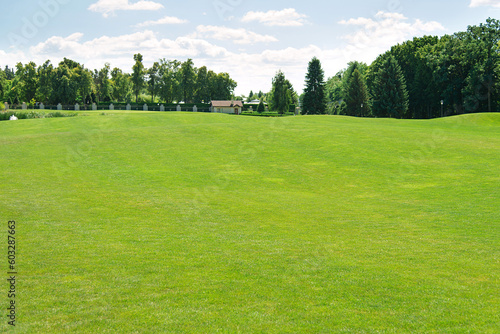  Lush green grass meadow background under the blue sky, grass texture. Beautiful morning light in public park with green grass field an.