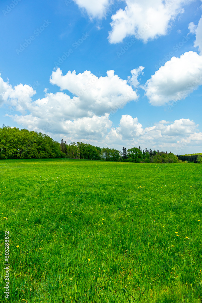 Erste Schritte auf dem Rennsteig zwischen Hörschel und Blankenstein im schönen Frühling - Thüringen - Deutschland Erste Schritte auf dem Rennsteig zwischen Hörschel und Blankenstein im schönen Frühling - Thüringen - Deutschland