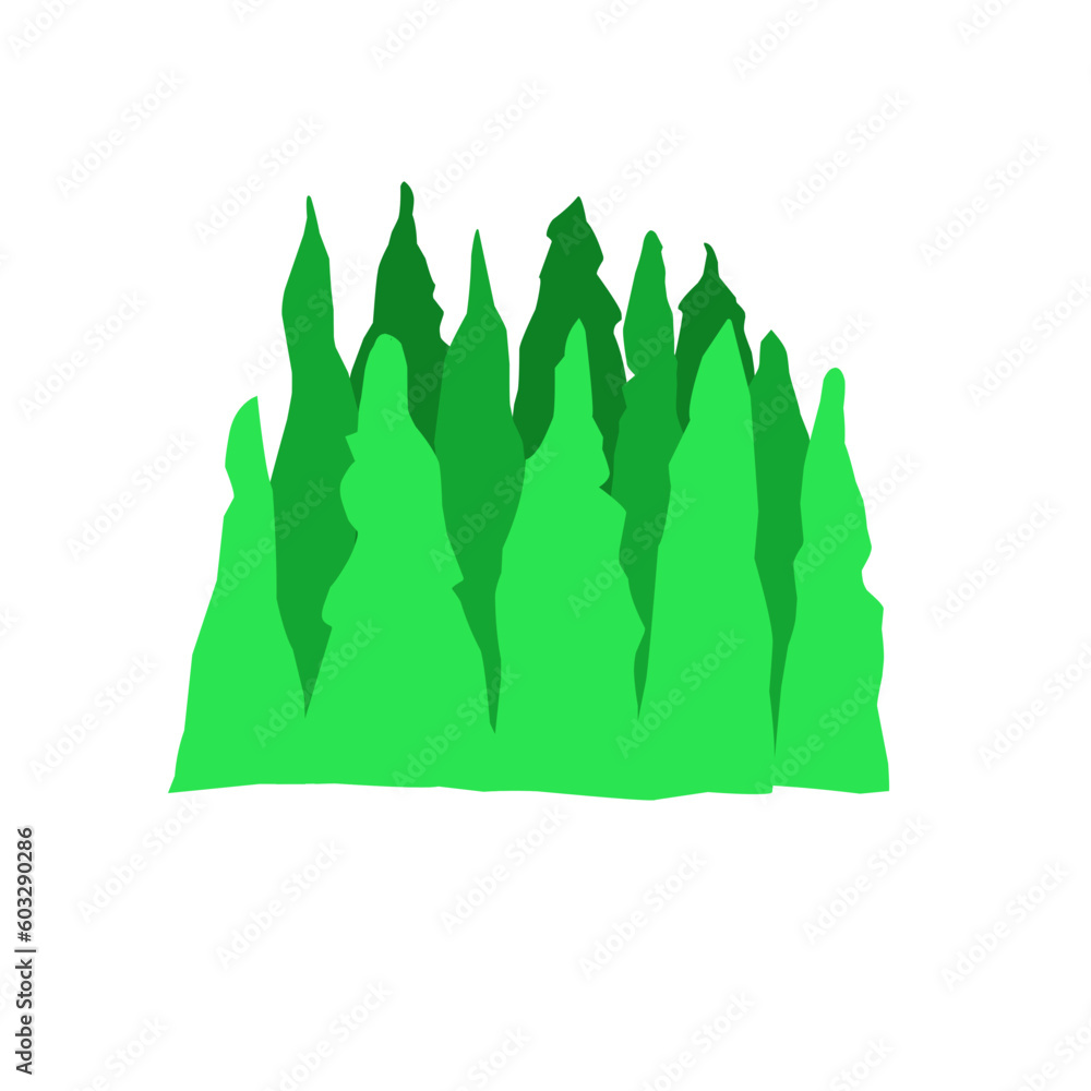 Fototapeta premium Forest background, nature, landscape