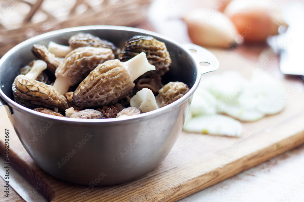 Spring Morel mushrooms in a metal bowl. Spring Morel mushrooms in a metal bowl.