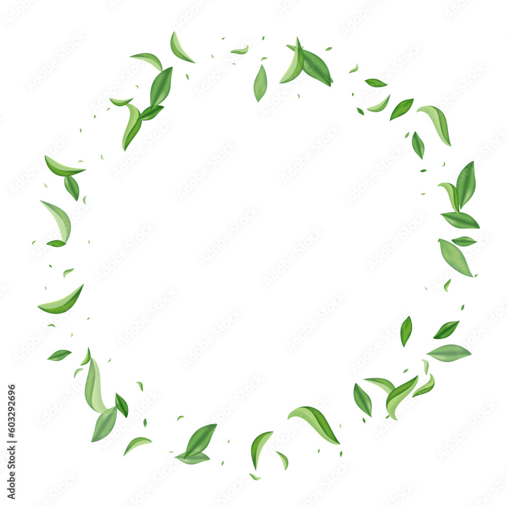Lime Greens Spring Vector White Background Lime Greens Spring Vector White Background