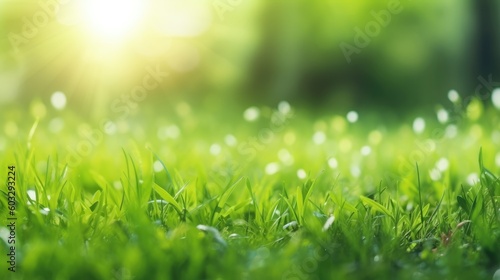 Natural green background of young juicy grass in sunlight with beautiful bokeh. Lush grass close-up in nature outdoors  wide format with copy space. Generative AI