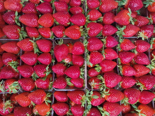 Top view of fresh and mellow red strauberries in a box