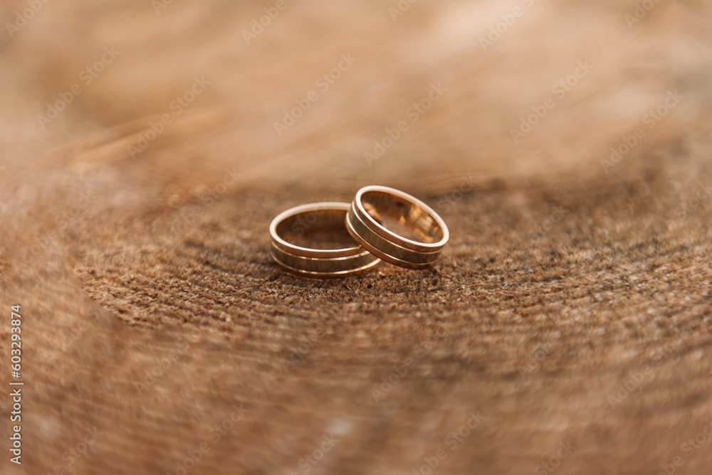 wedding rings on a forest wooden background wedding rings on a forest wooden background