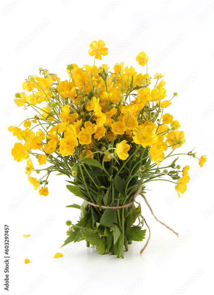 Bouquet of yellow anemone flowers isolated on white background. Spring flowers Anemonoides ranunculoides.